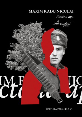 Pictand apa Pictand apa