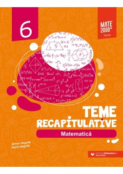 Matematica teme recapitulative clasa a VI-a