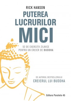 Puterea lucrurilor mici. 52 de exercitii zilnice pentru un creier de Buddha