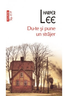 Du-te si pune un strajer (editie de buzunar)