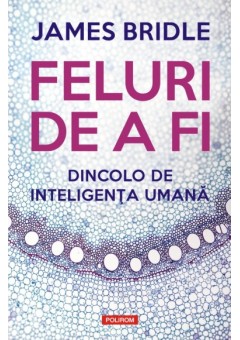 Feluri de a fi - Dincolo..