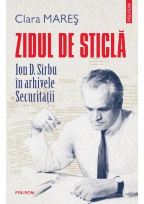 Zidul de sticla