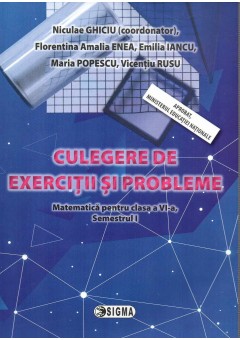 Culegere de exercitii si probleme. Matematica pentru clasa a VI-a, Semestrul I