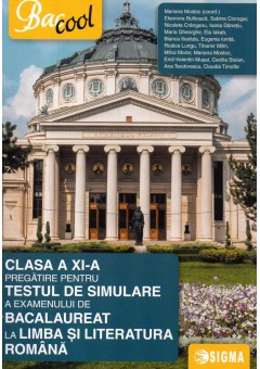 Clasa a XI-a. Pregatire pentru testul e simulare a examenului de bacalaureat la limba si literatura romana 2017