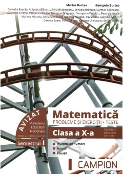 Matematica probleme si exercitii, teste, clasa a X-a semestrul I. Profil tehnic