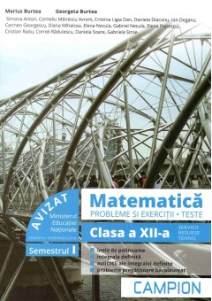 Matematica probleme si exercitii, teste, clasa a XII-a semestrul I. Profil tehnic