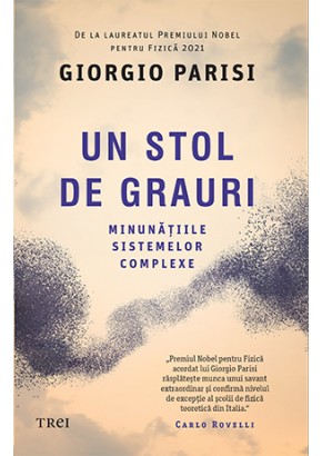 Un stol de grauri Minunatiile sistemelor complexe