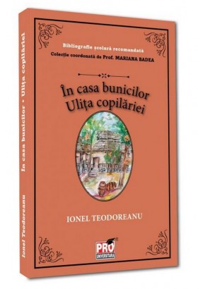 In casa bunicilor. Ulita copilariei