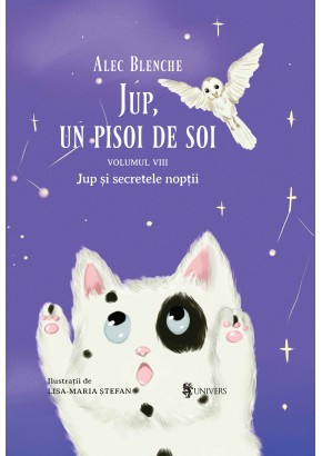 Jup, un pisoi de soi volumul VIII Jup si secretele noptii